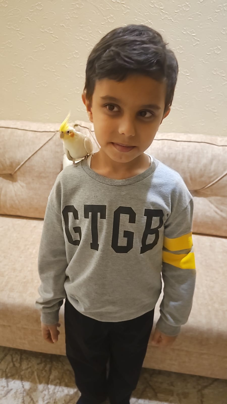 صورة الإعلان